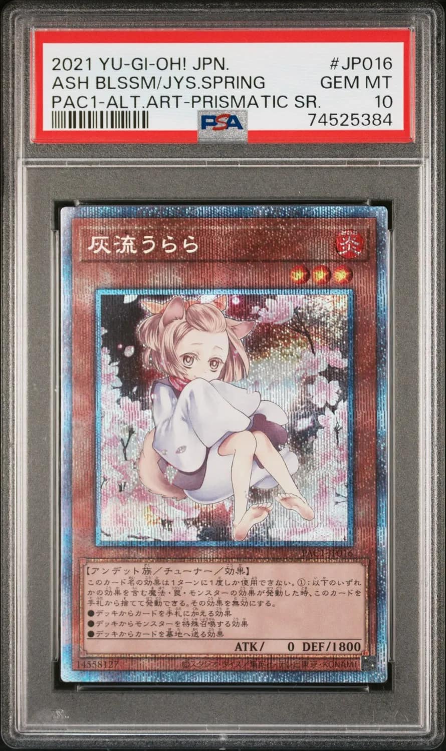 Ash Blssm/jys.spring