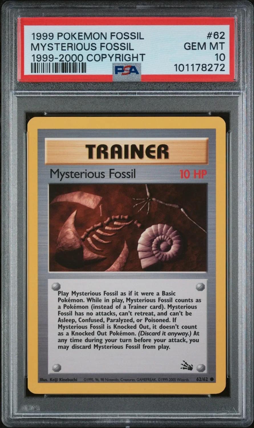 Mysterious Fossil