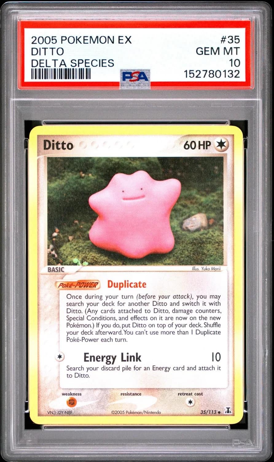 Ditto