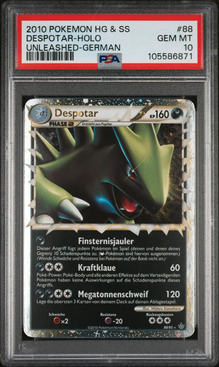 Despotar