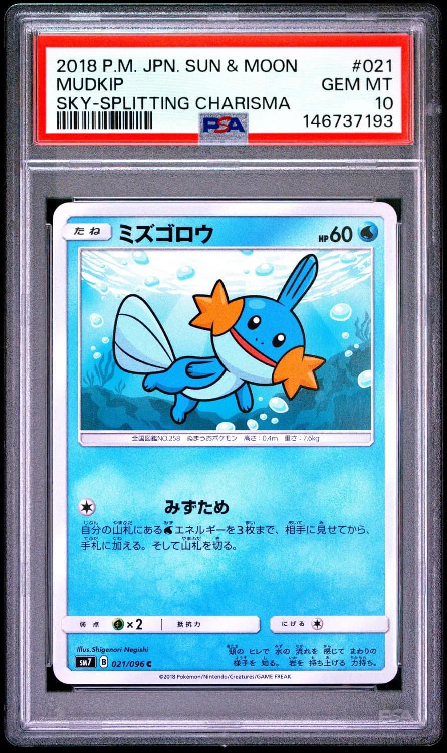Mudkip