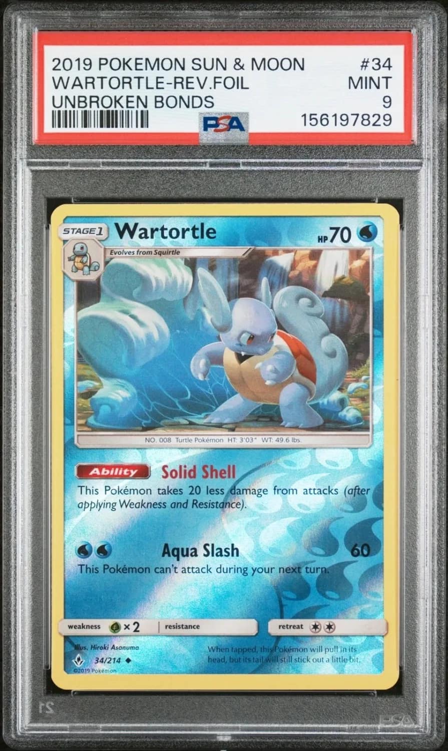 Wartortle