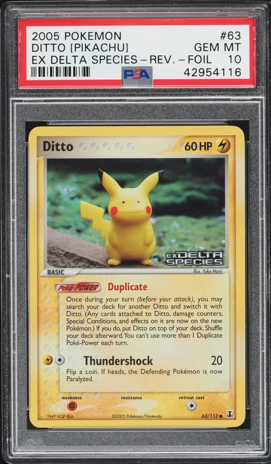 Ditto [pikachu]