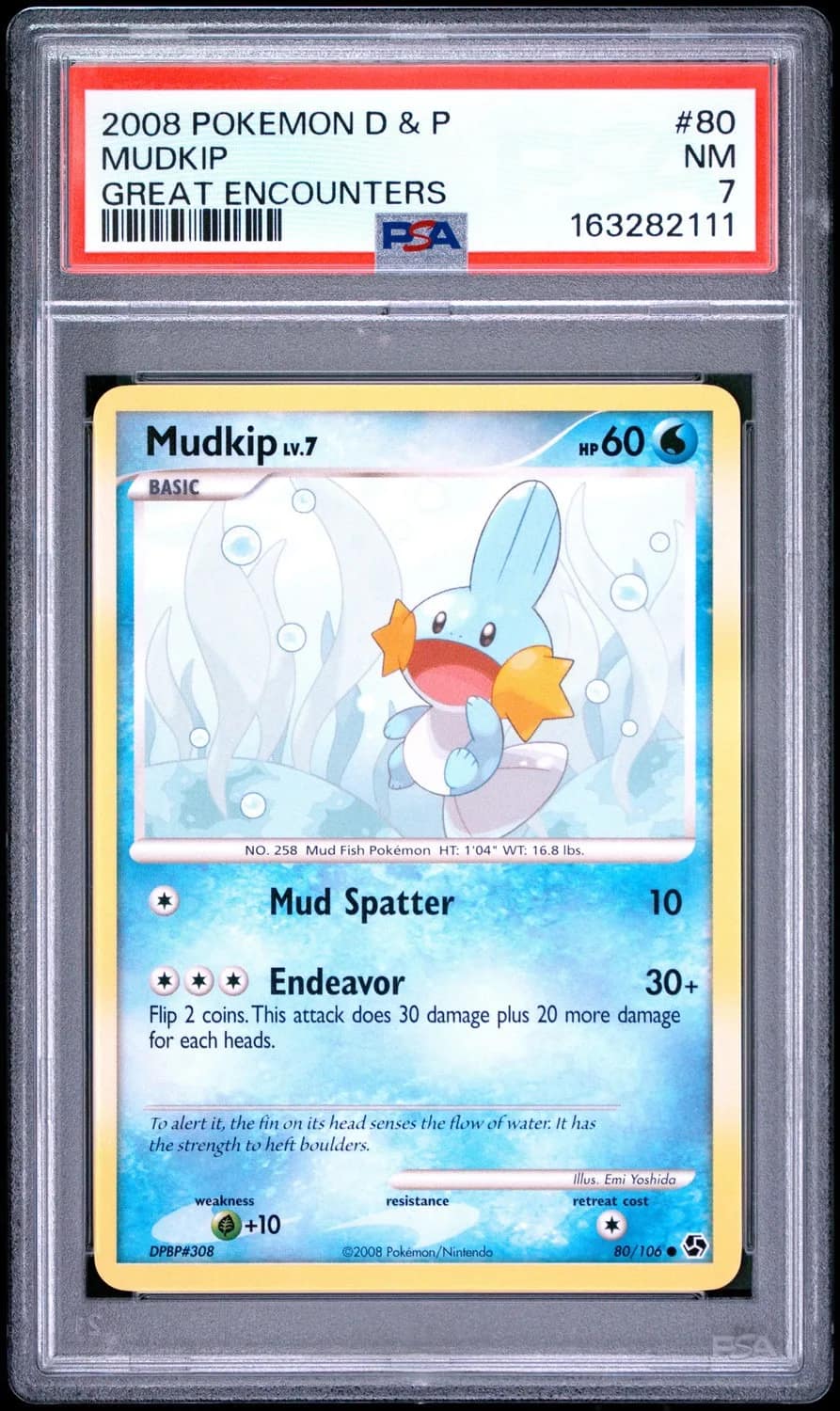 Mudkip