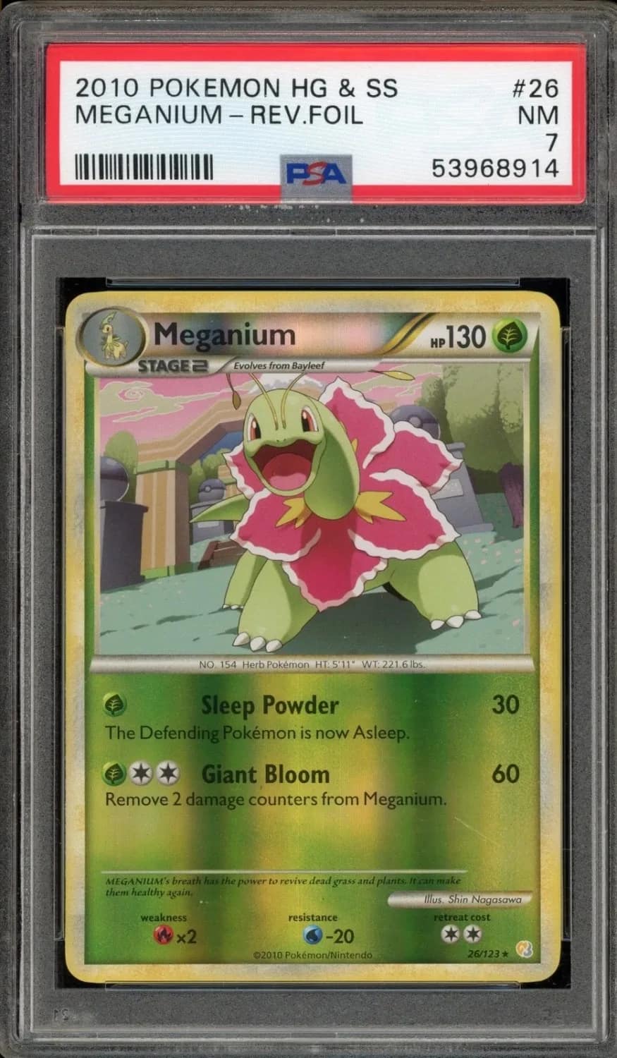 Meganium