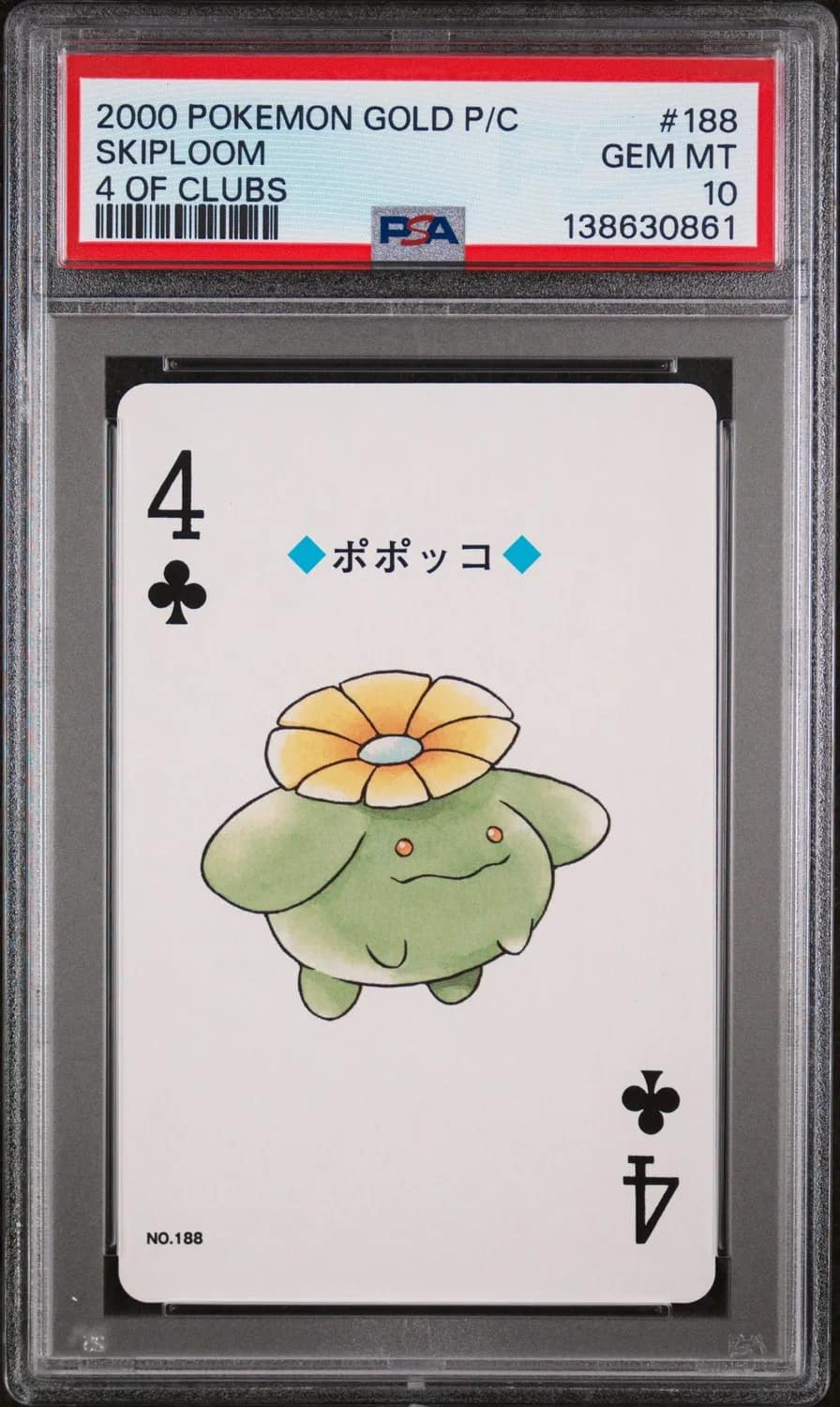 Skiploom
