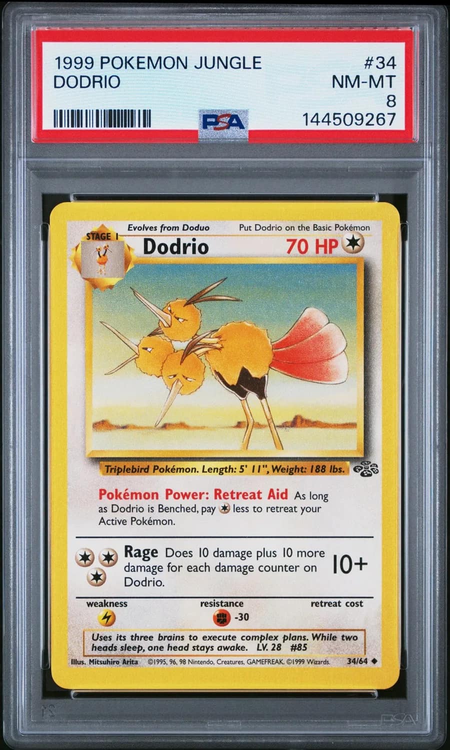 Dodrio