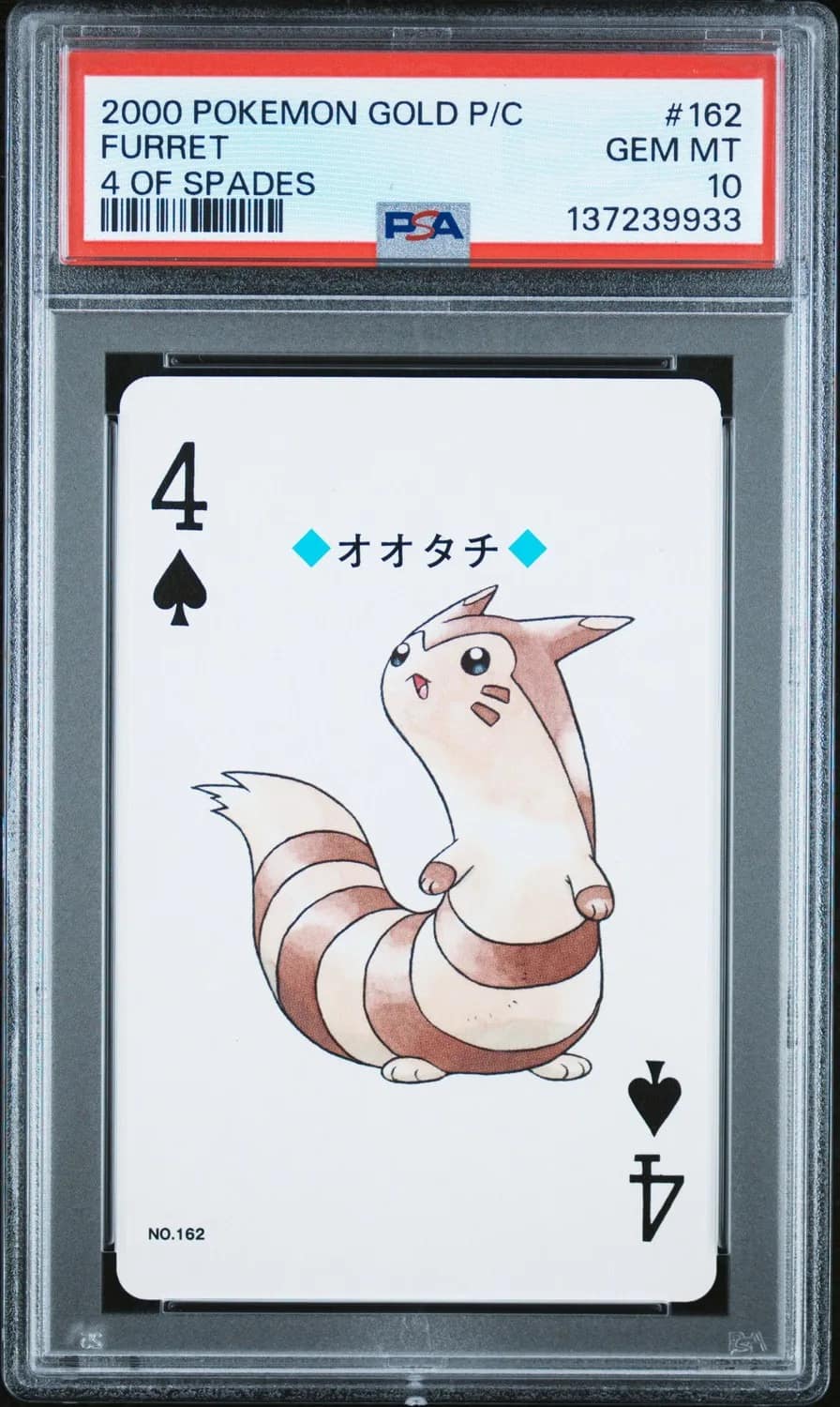 Furret