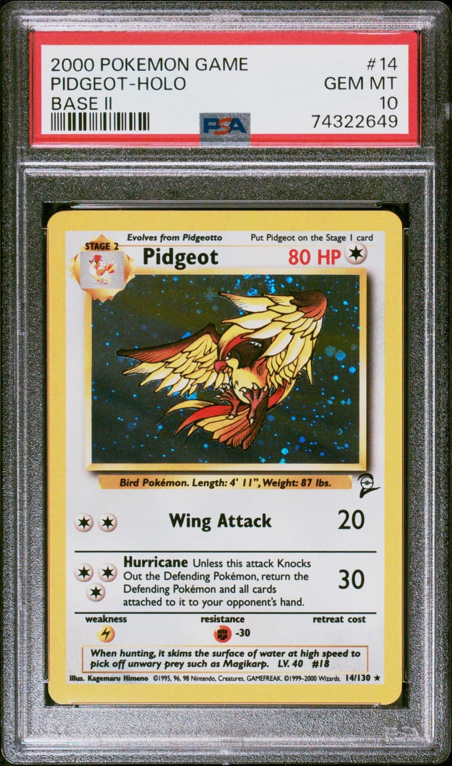 Pidgeot