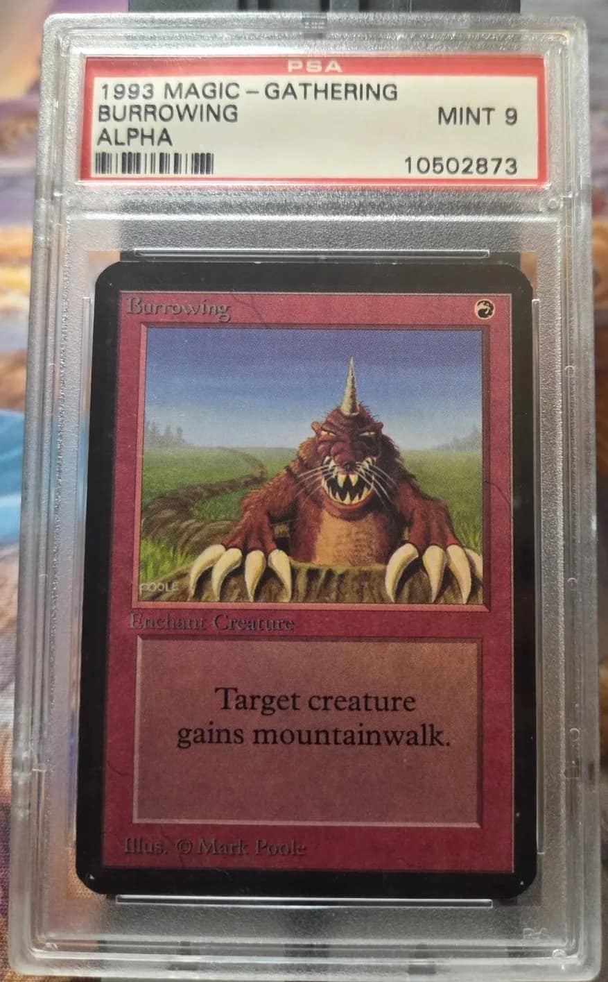 Burrowing