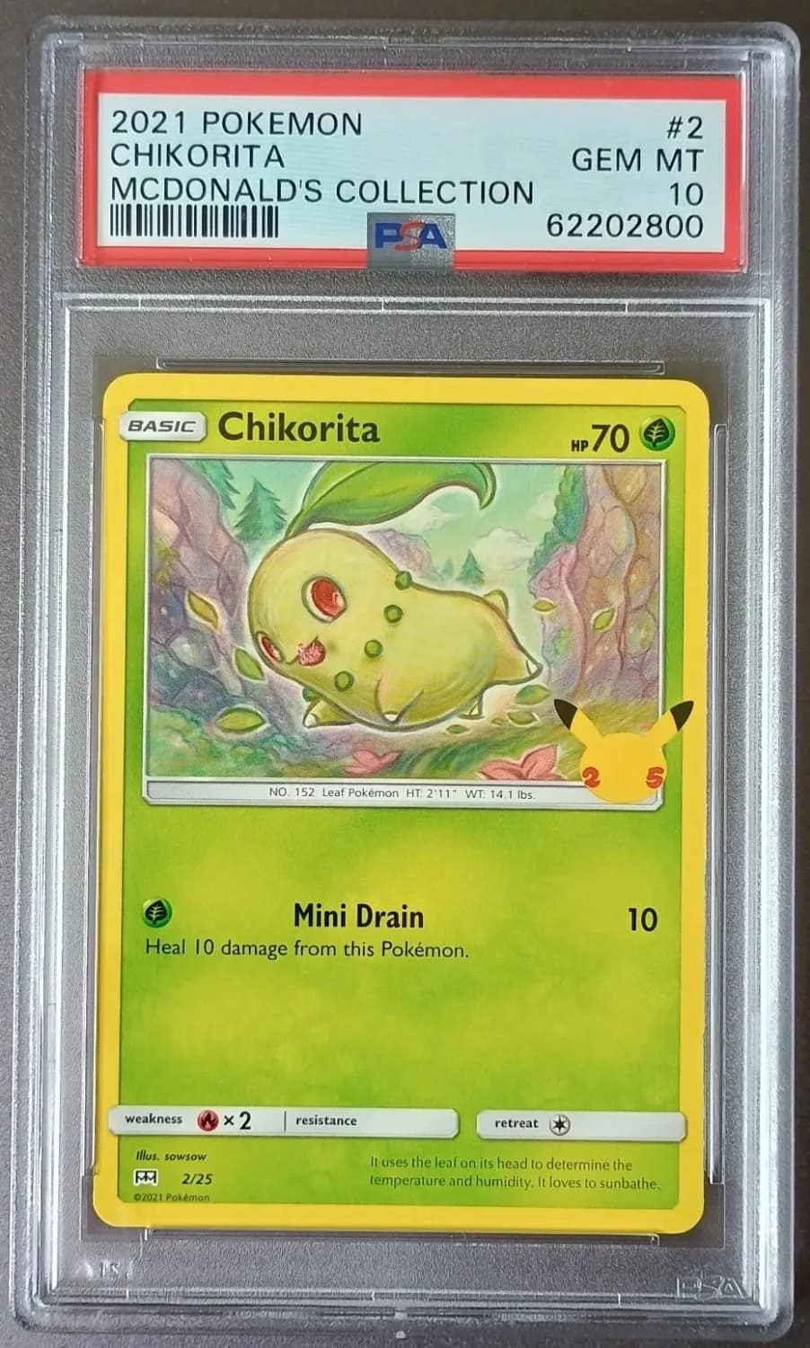 Chikorita
