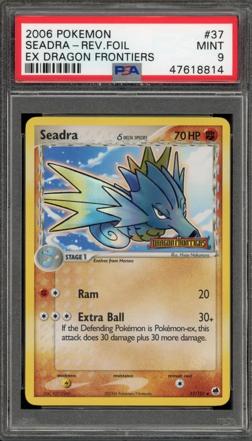 Seadra δ