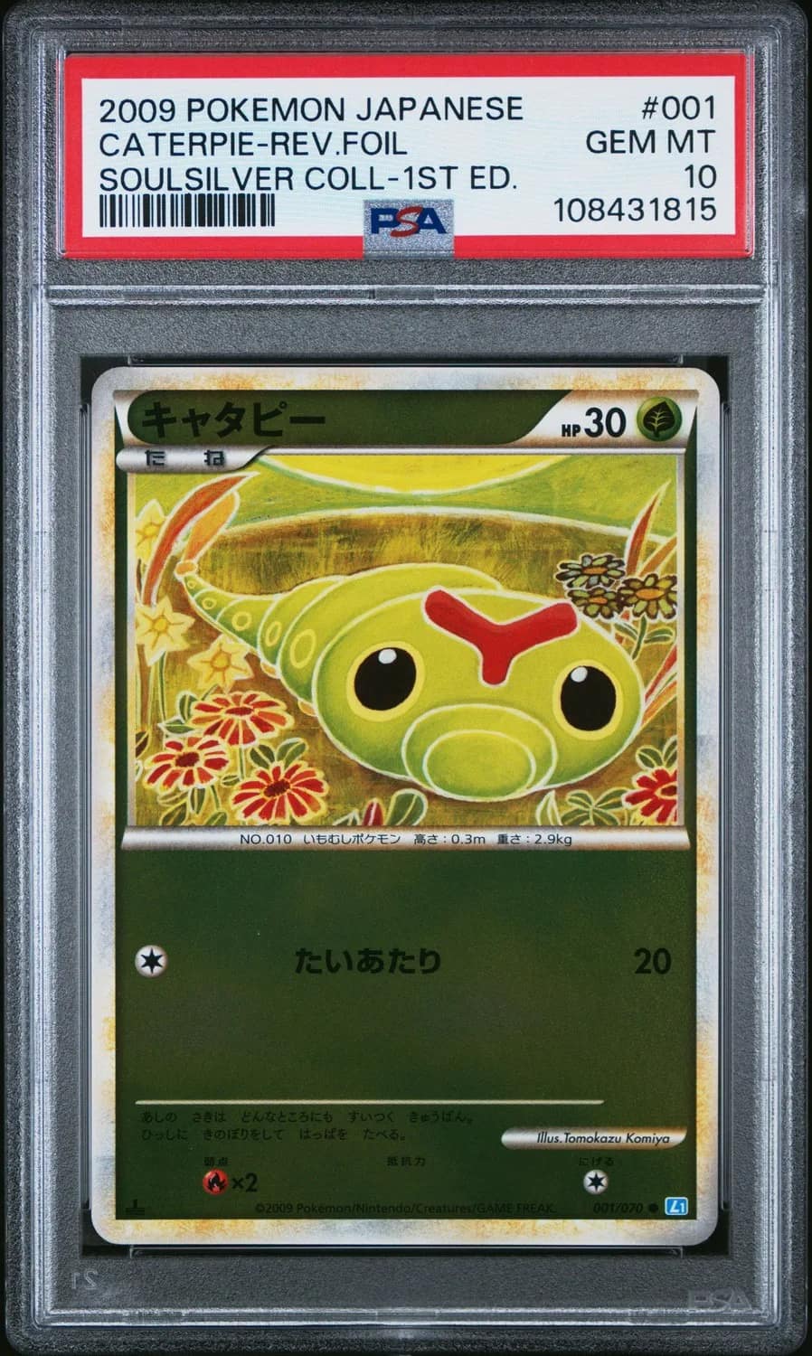 Caterpie