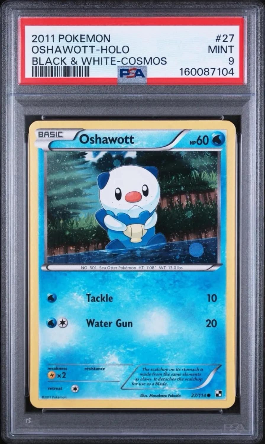 Oshawott