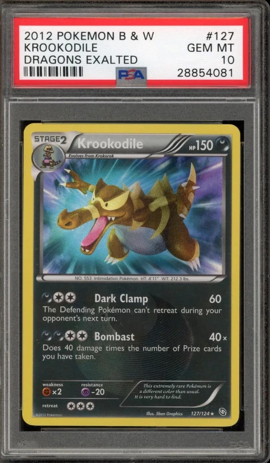 Krookodile