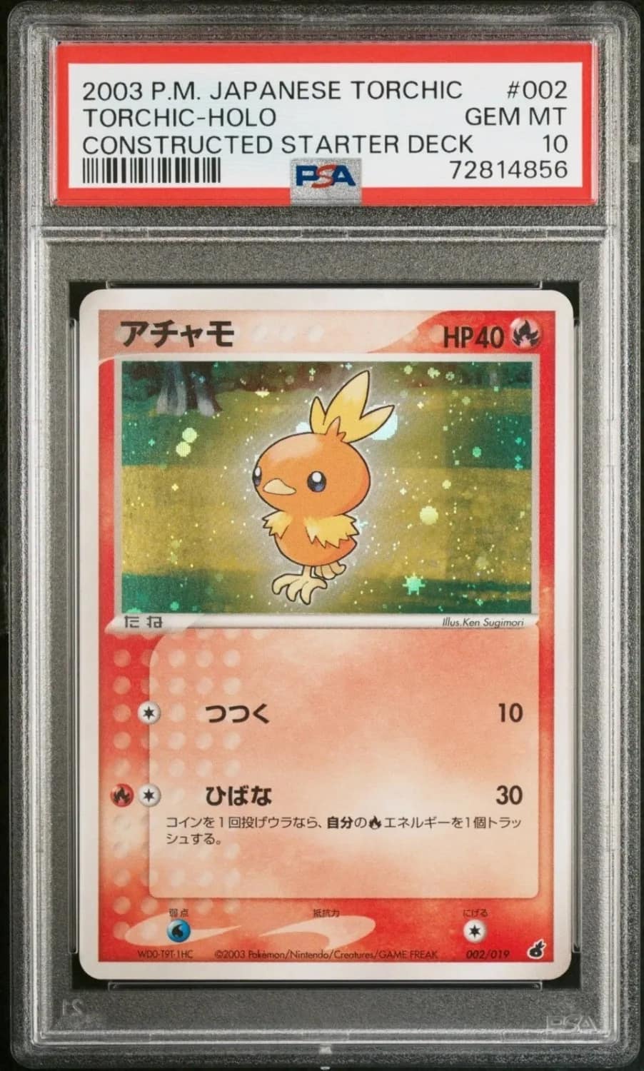 Torchic