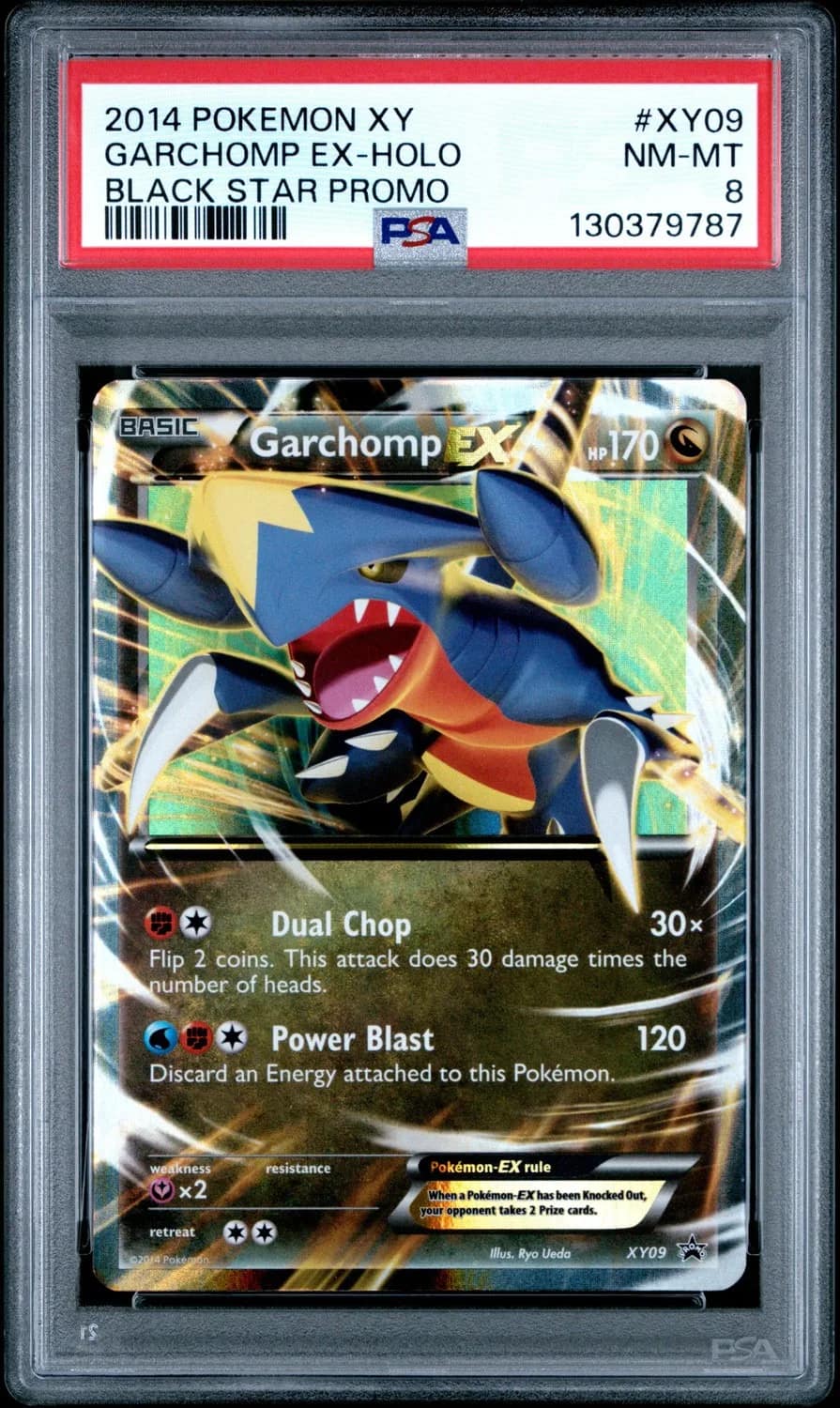 Garchomp Ex