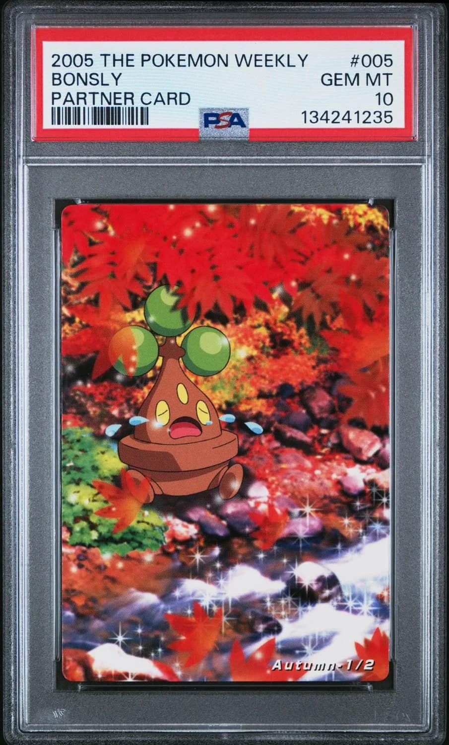 Bonsly