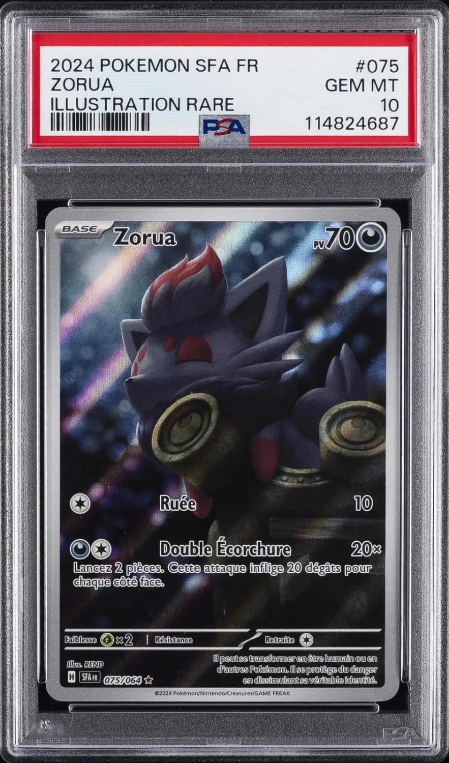 Zorua