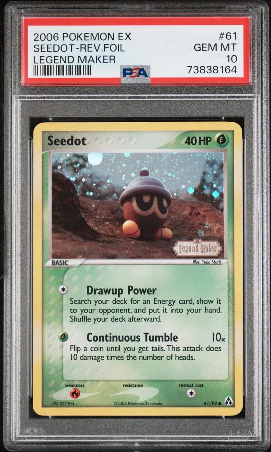 Seedot
