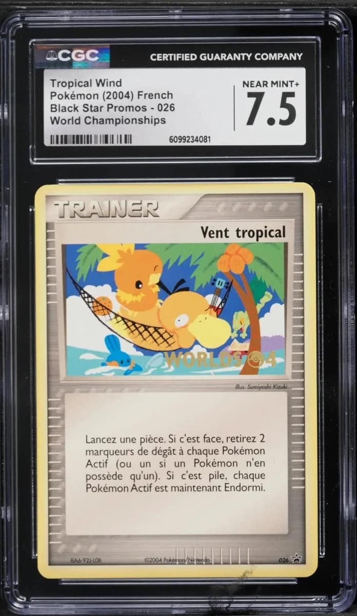 Tropical Wind