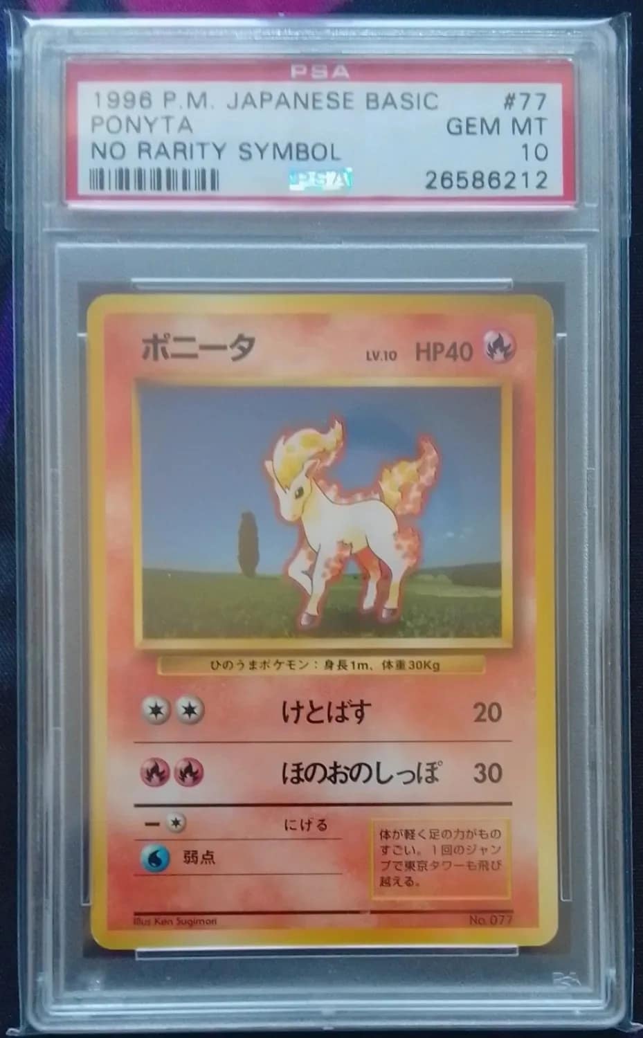 Ponyta