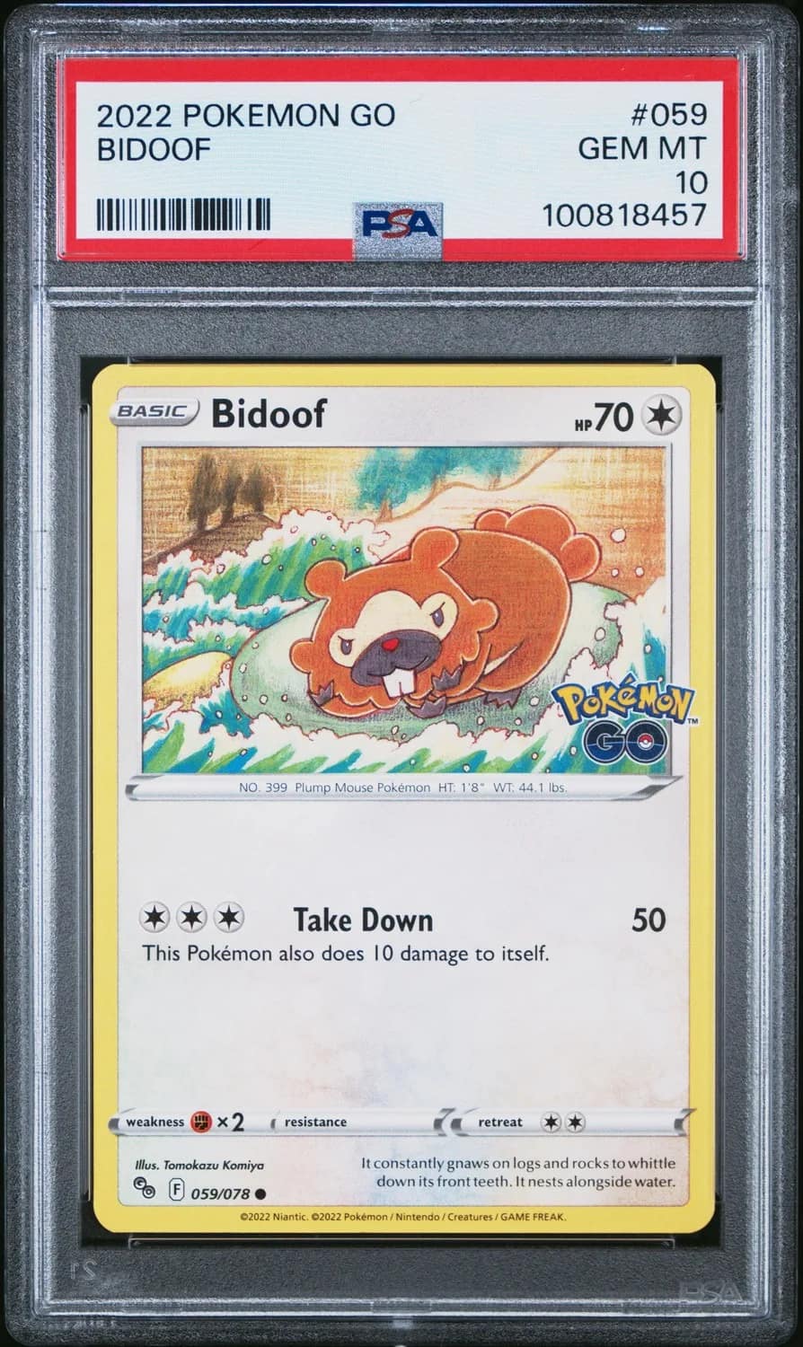 Bidoof