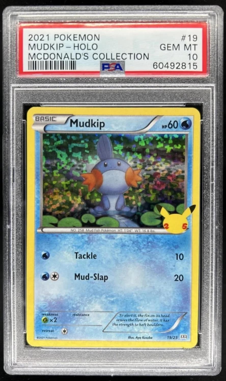 Mudkip