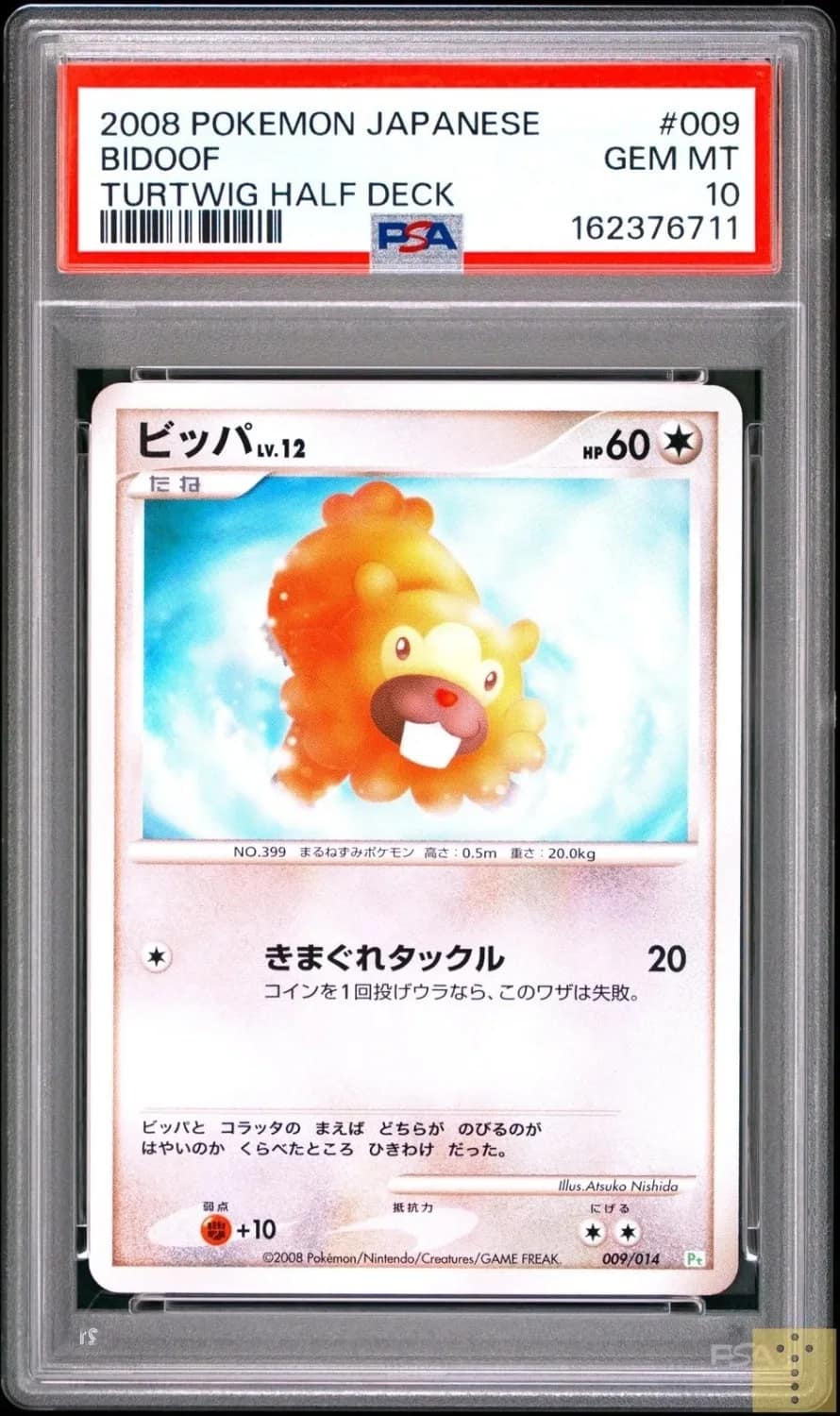 Bidoof
