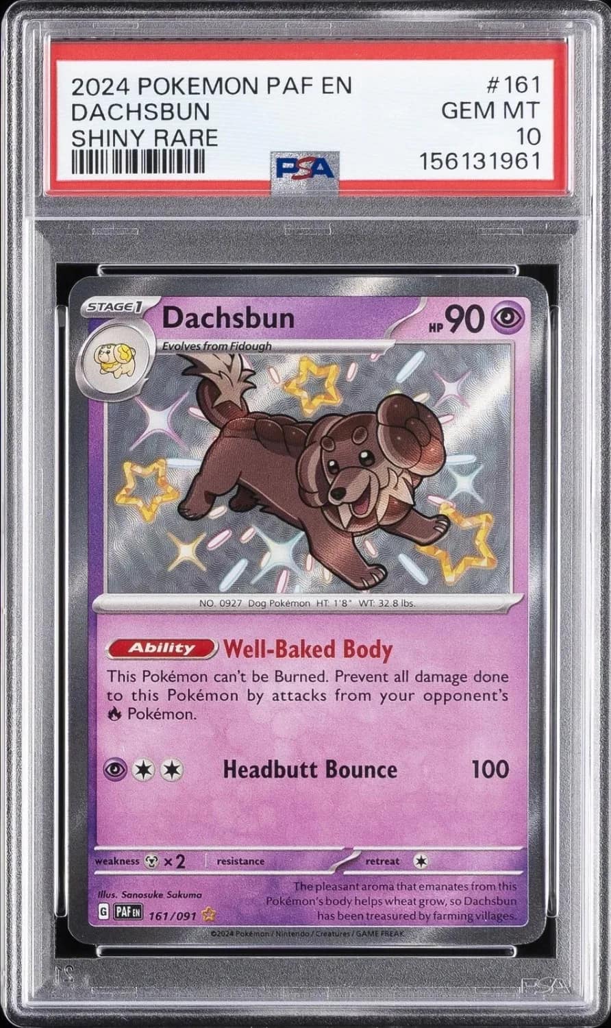 Dachsbun