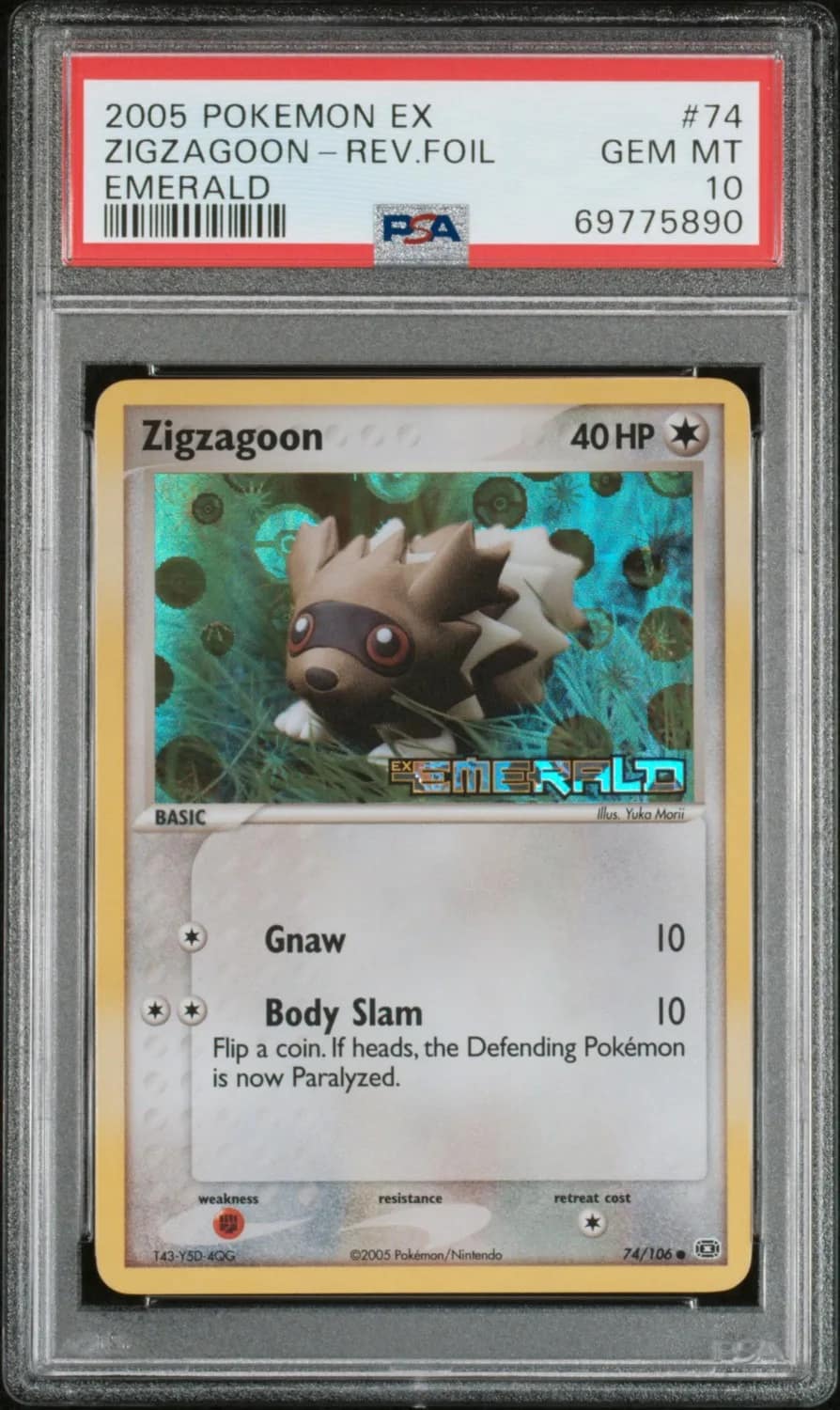 Zigzagoon