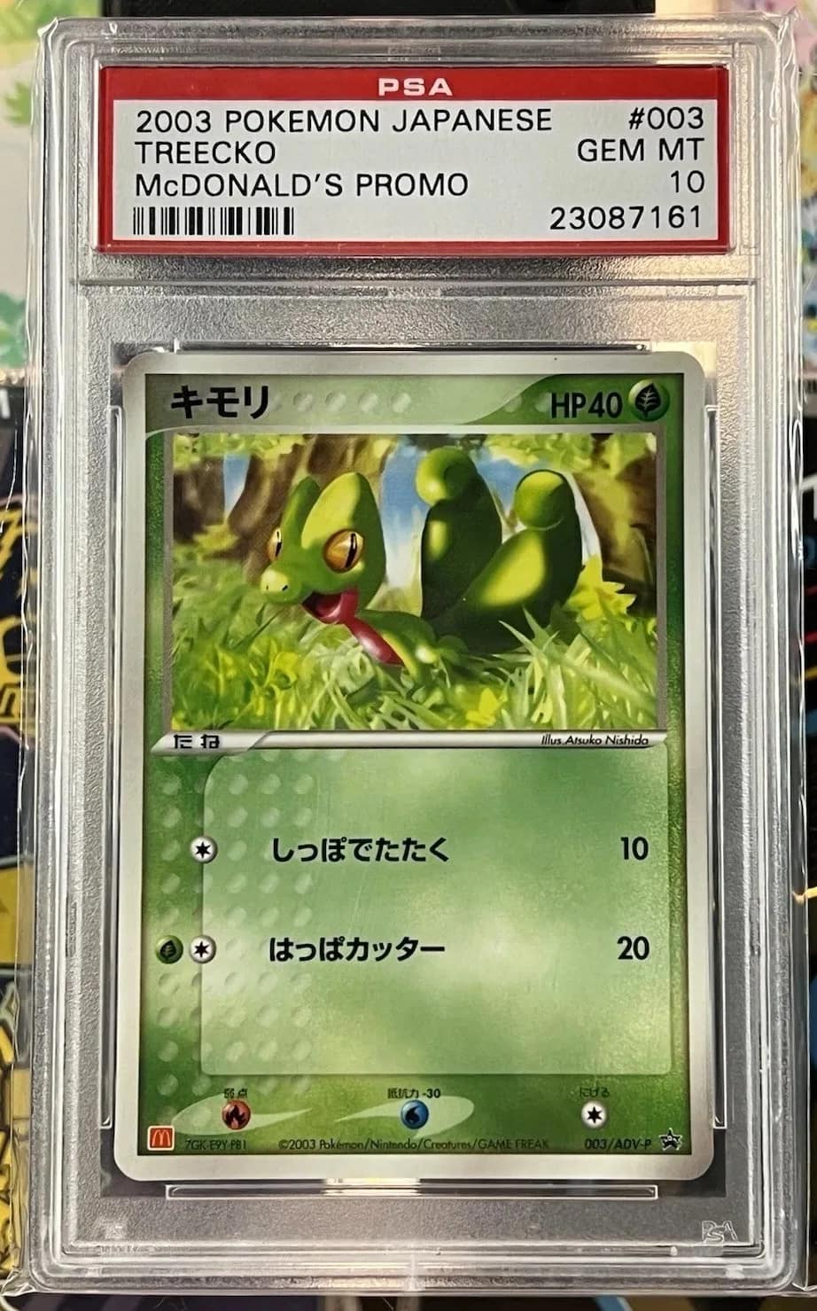 Treecko