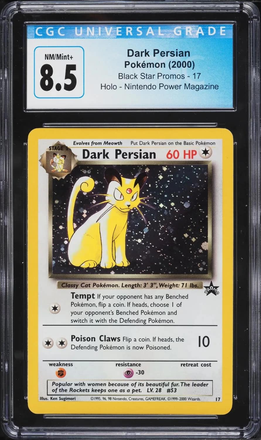 Dark Persian