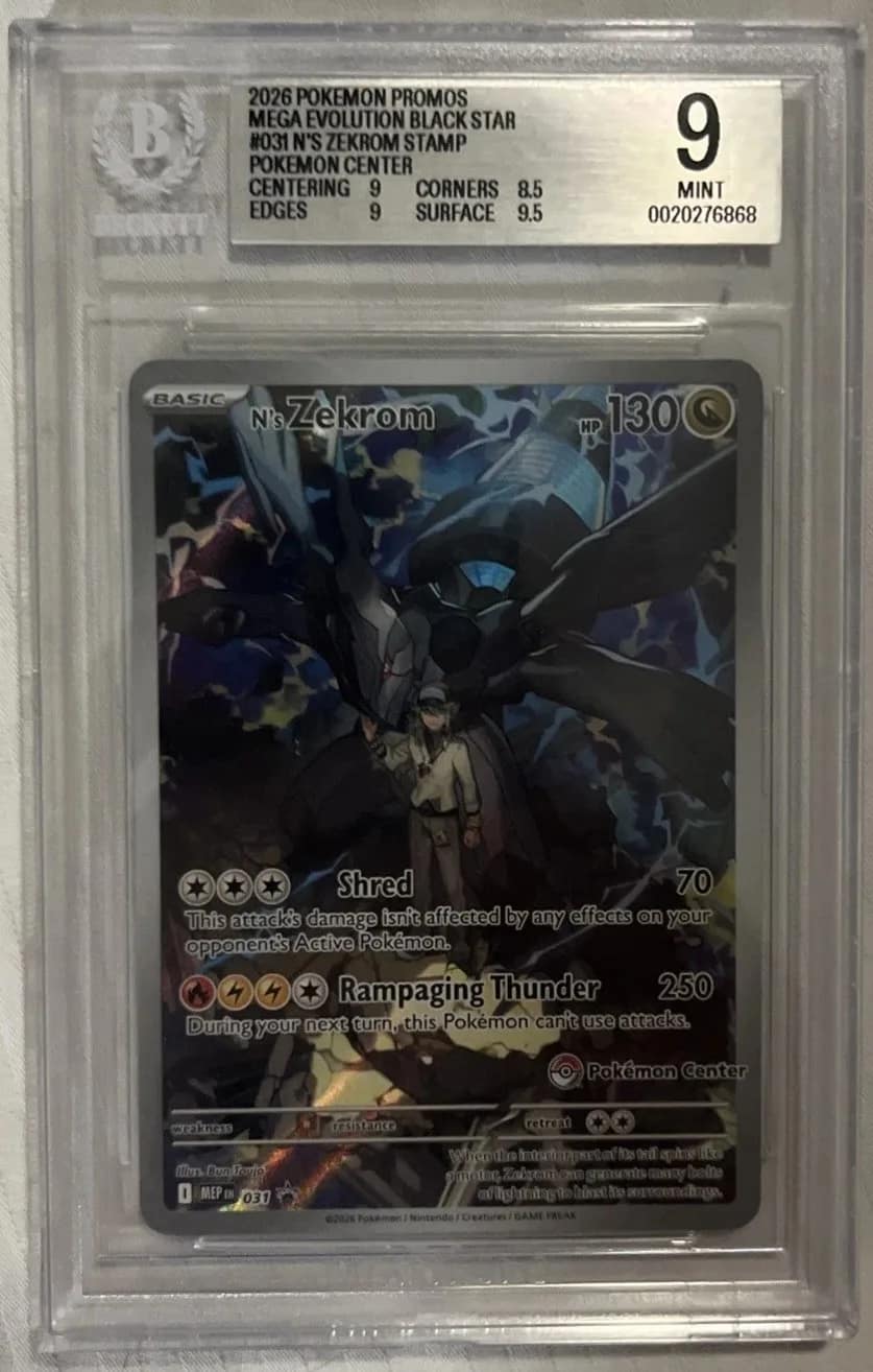 N'S Zekrom
