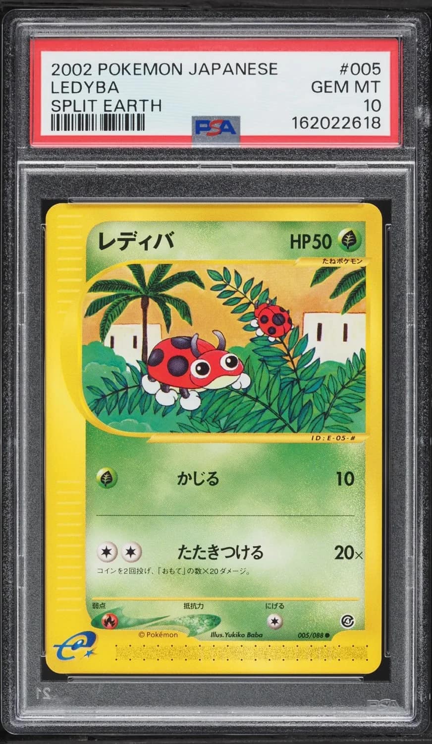 Ledyba