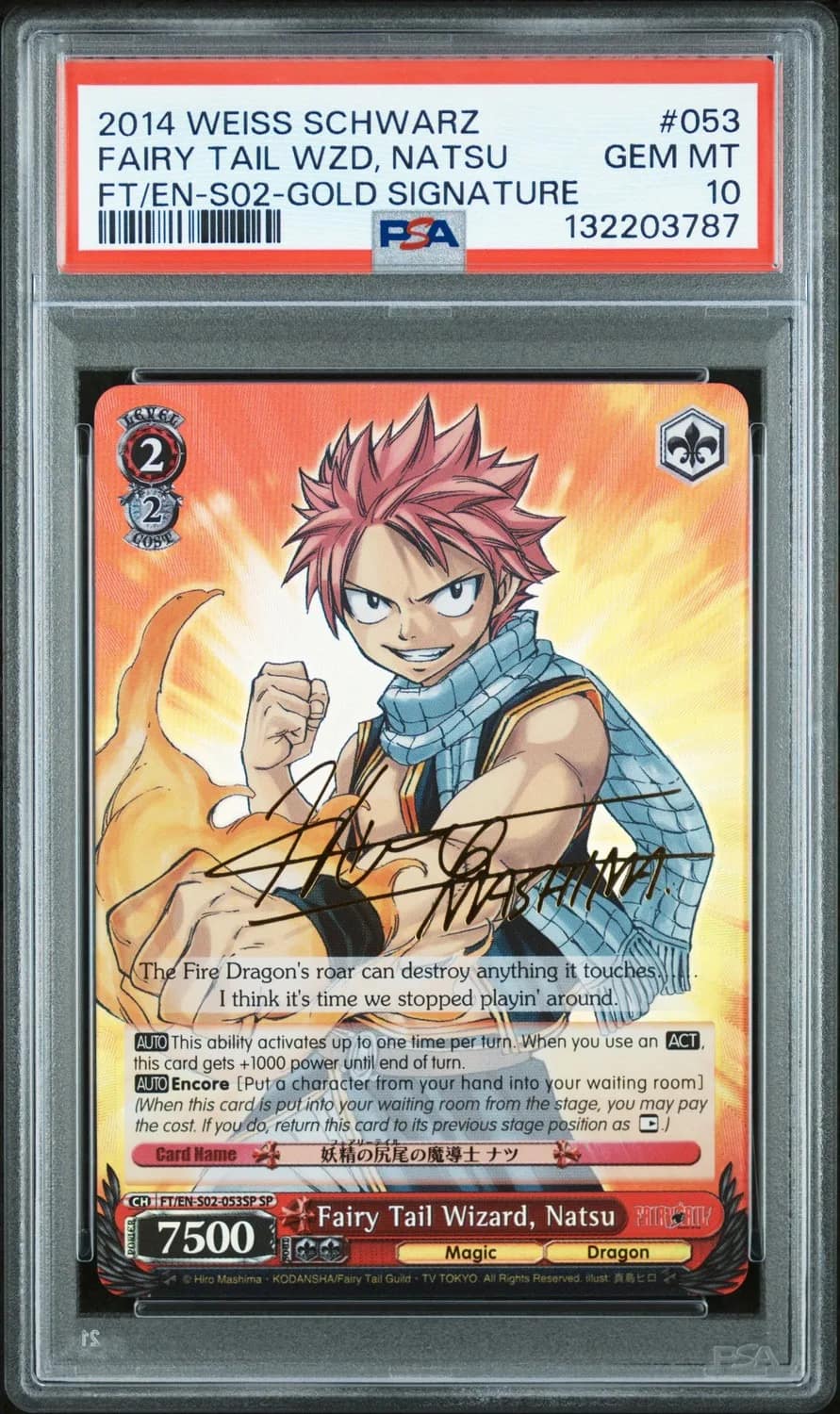Fairy Tail Wzd, Natsu