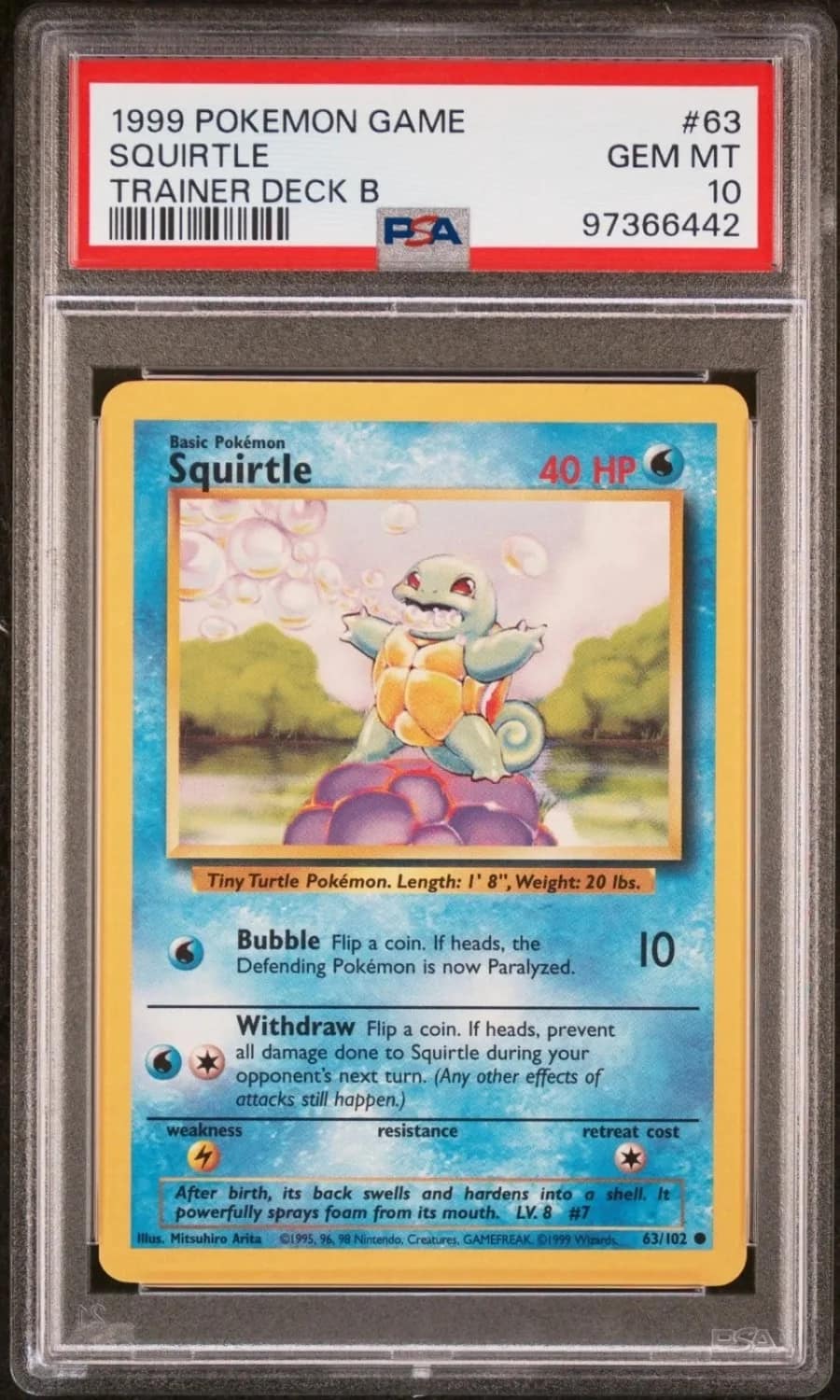 Squirtle