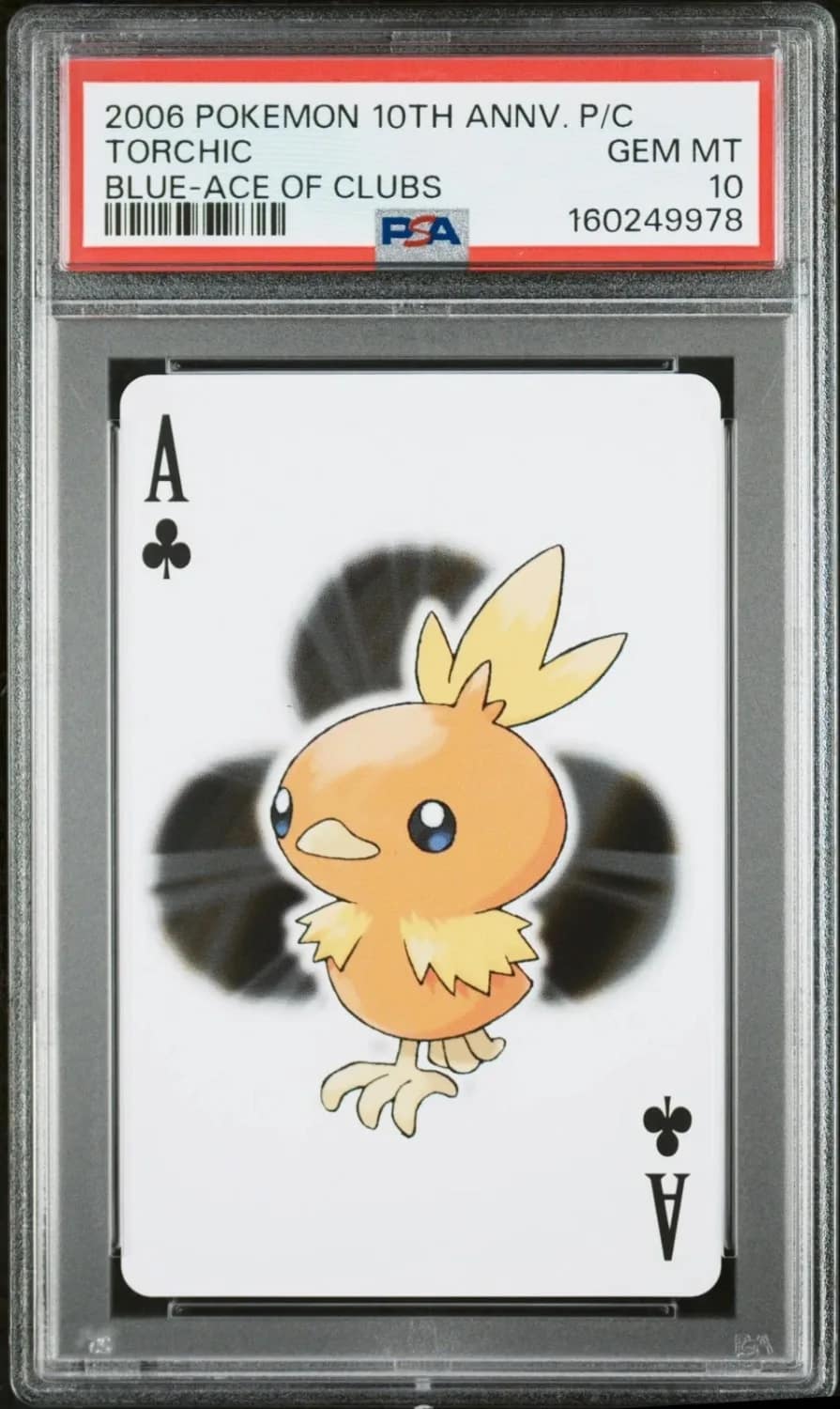 Torchic