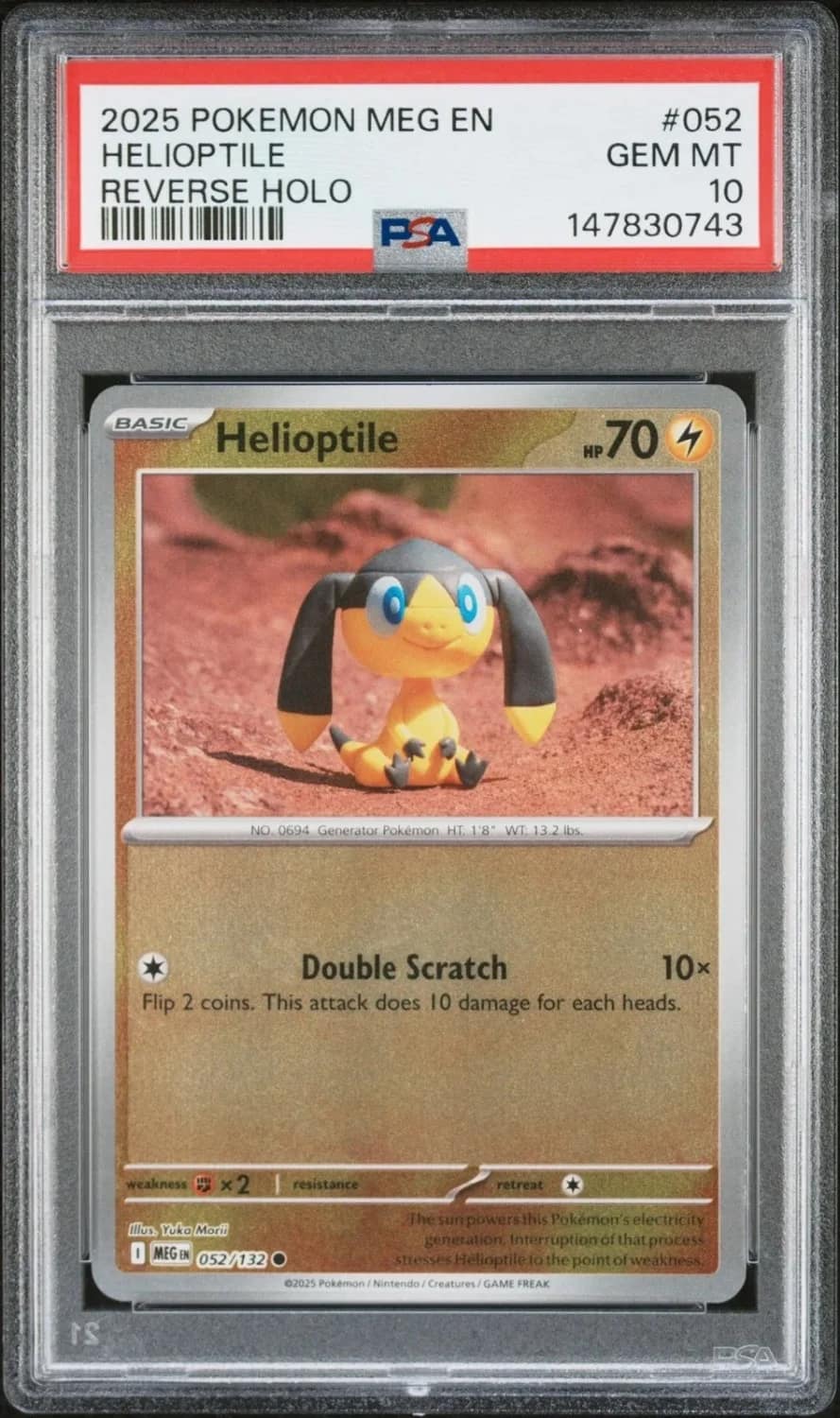 Helioptile
