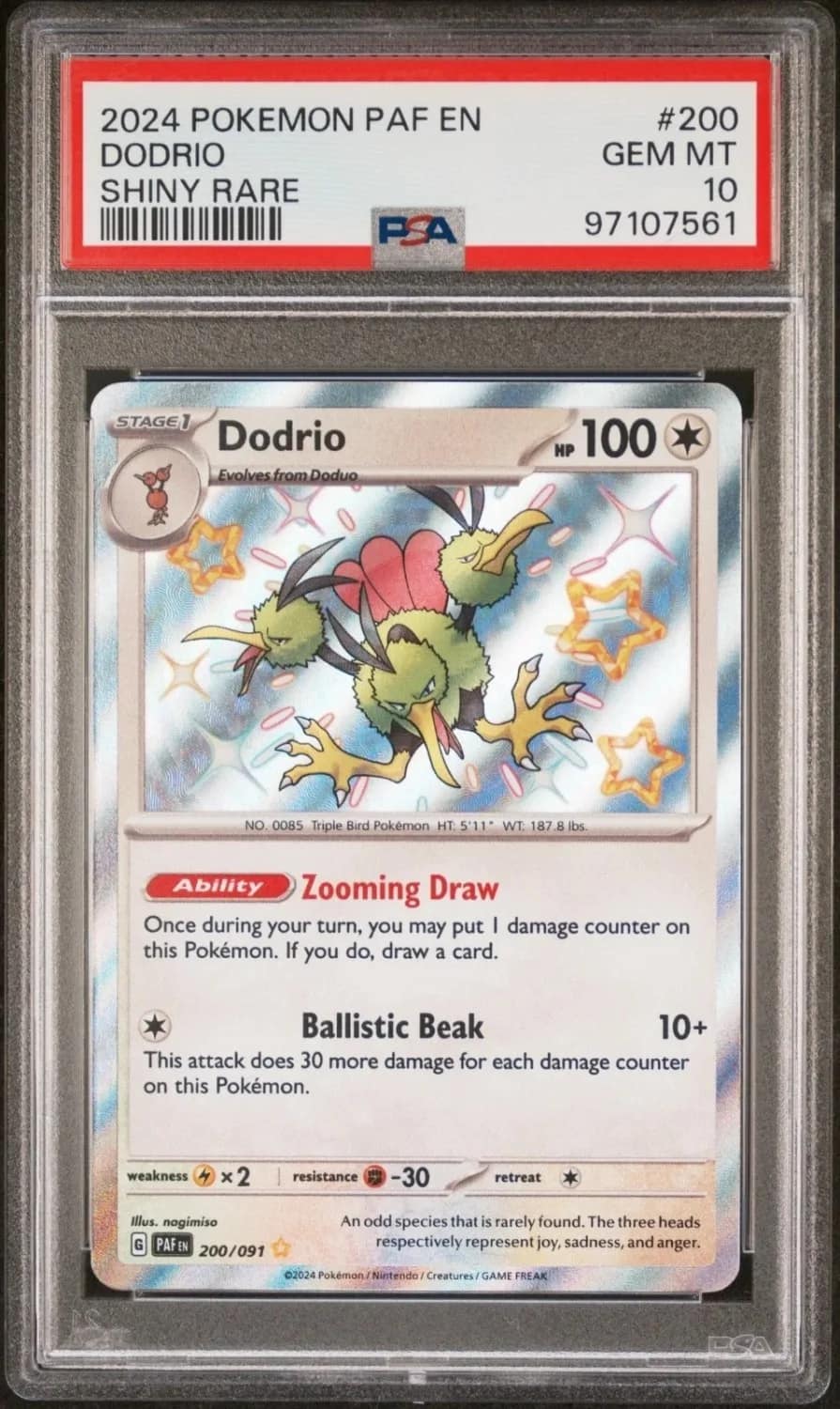 Dodrio