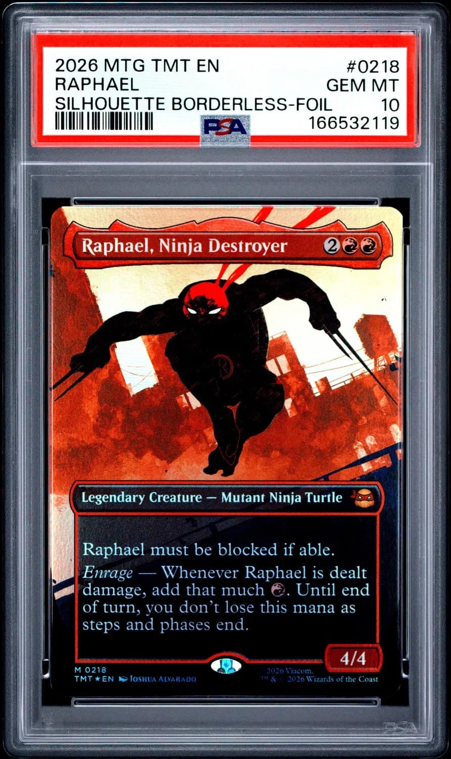 Raphael, Ninja Destroyer Borderless M