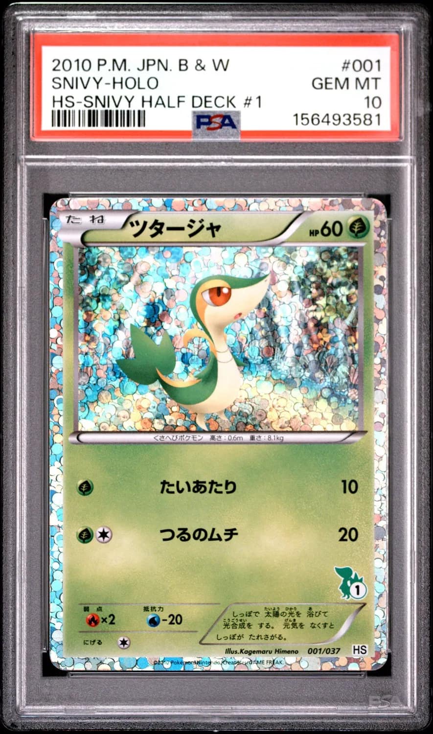Snivy