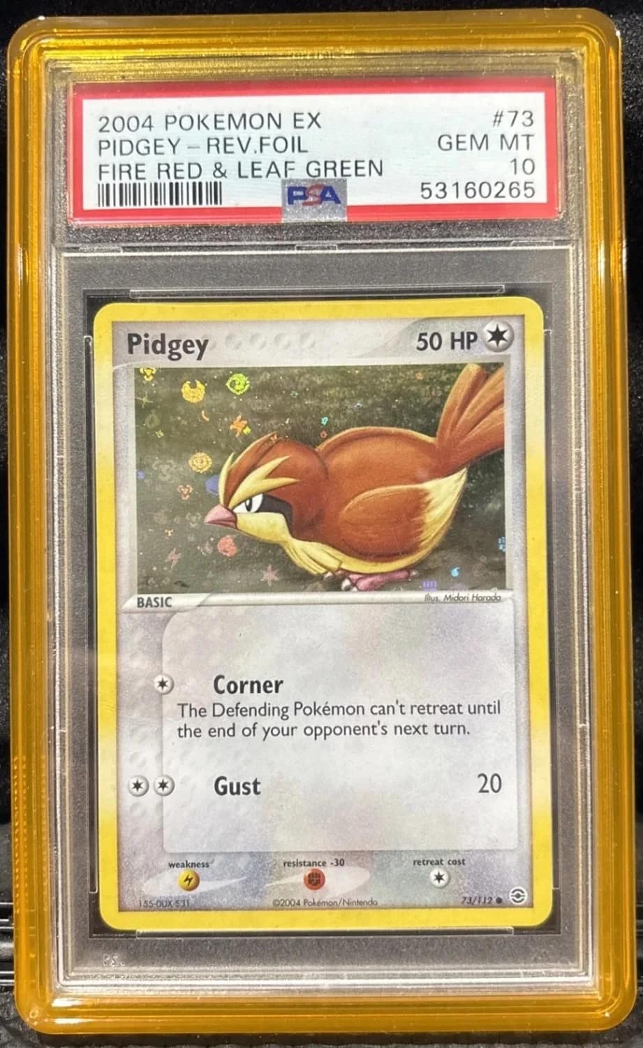 Pidgey