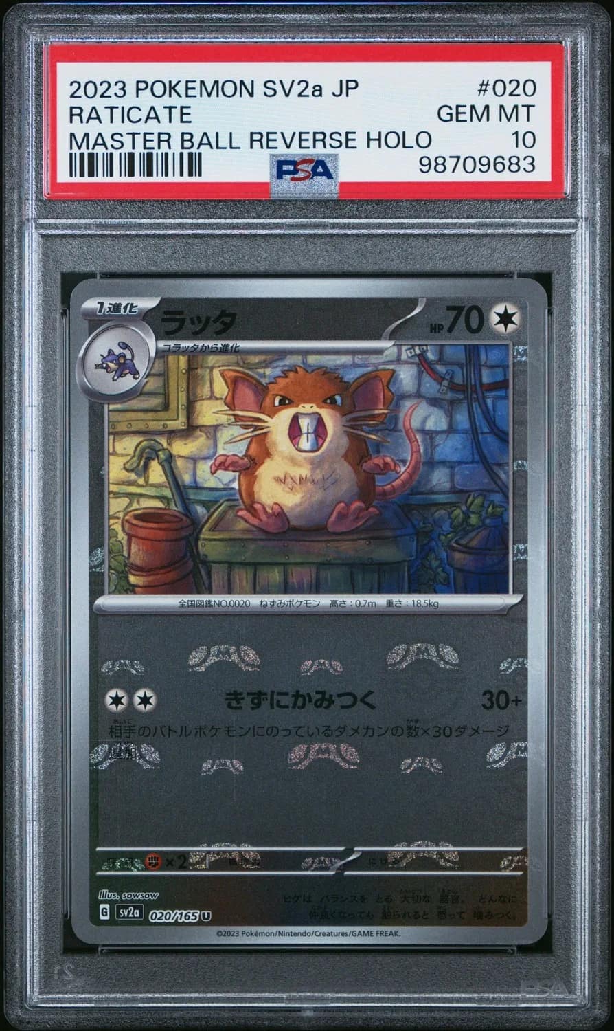 Raticate