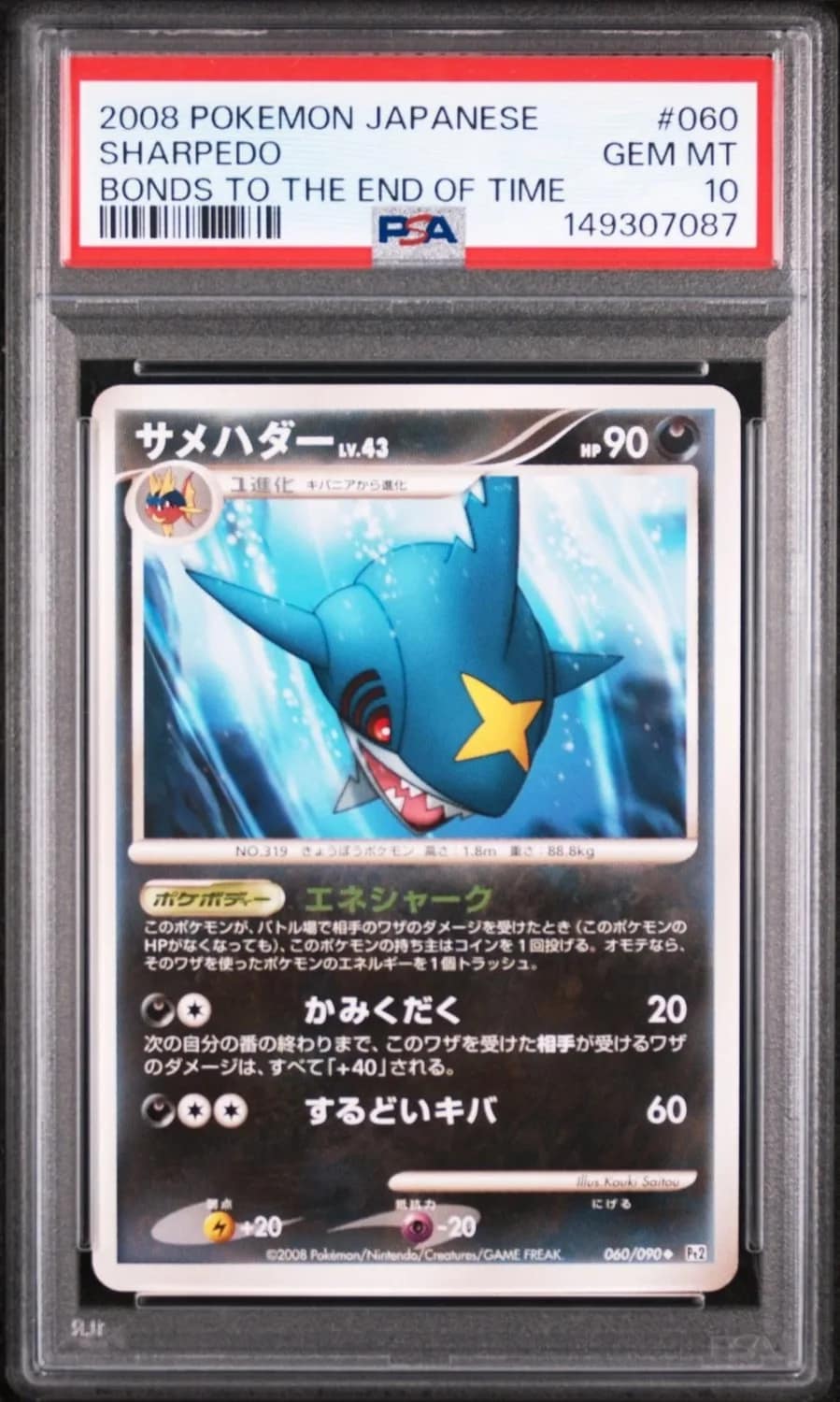 Sharpedo
