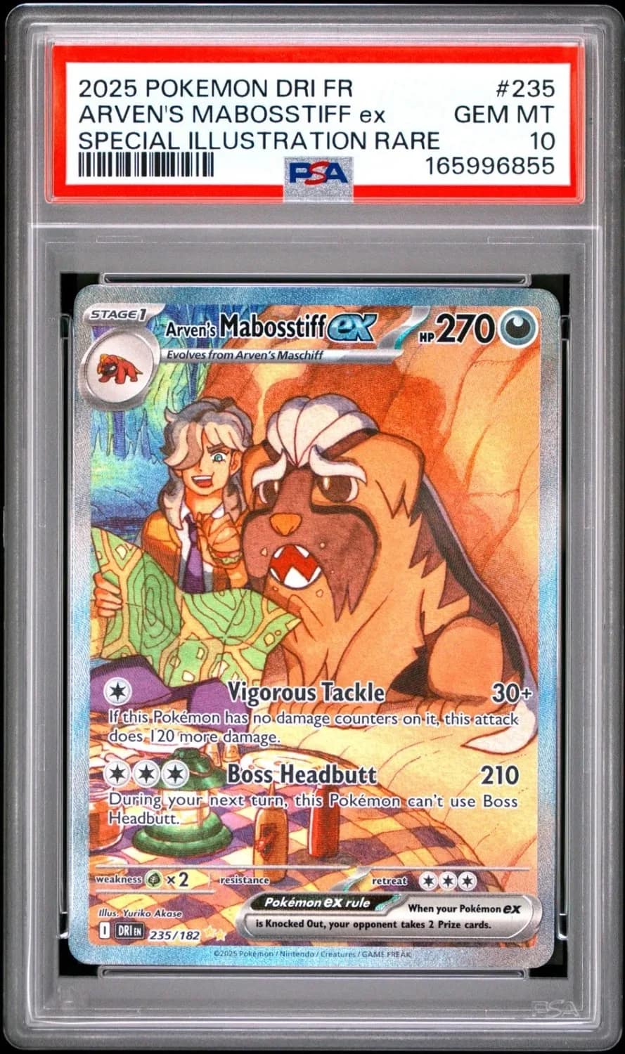 Arven'S Mabosstiff Ex