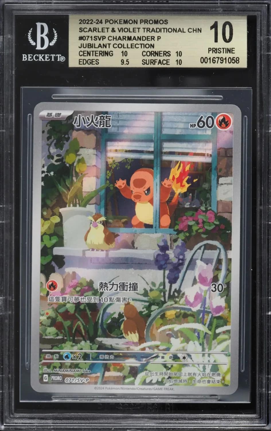 Charmander P/(jubilant Collection - Charizard)