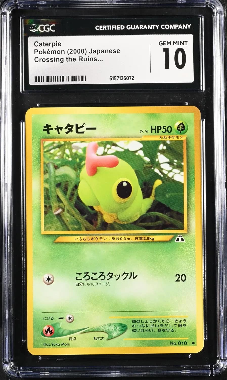 Caterpie