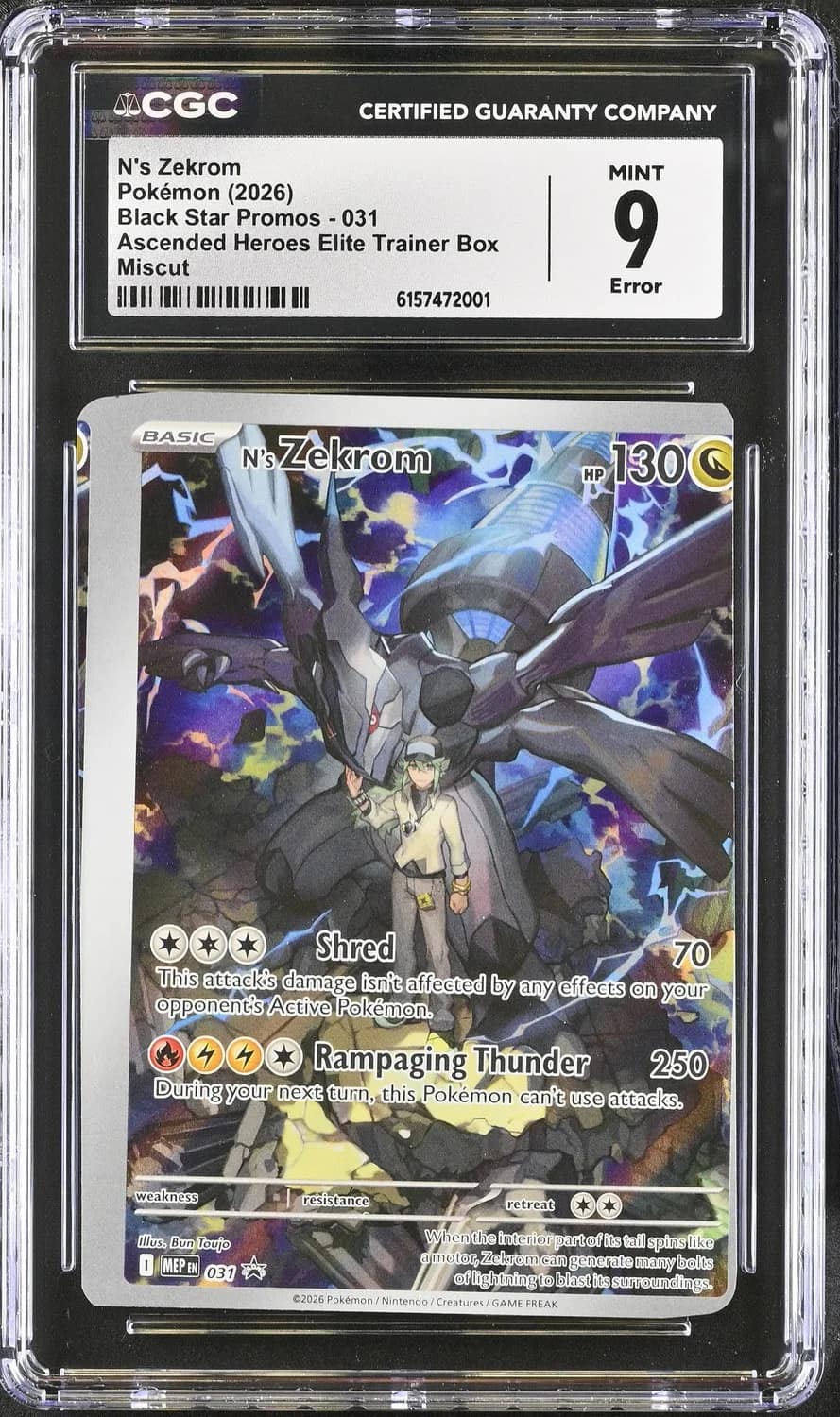 N'S Zekrom