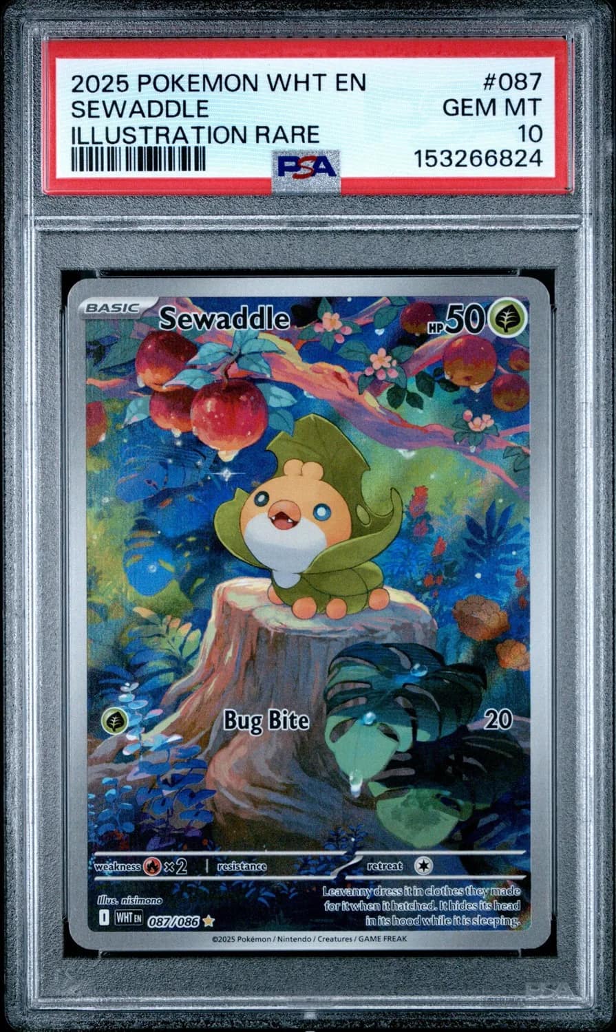 Sewaddle